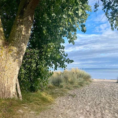 Feriendorf Suedstrand Haus 36 Pelzerhaken Exteriör bild
